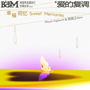 中国的亚洲人拳交
